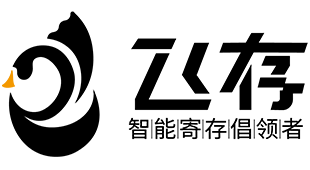 飞存智能寄存
